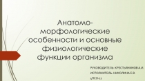 Анатомо-морфологические особенности и основные физиологические функции организма