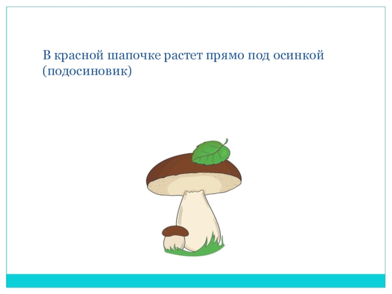 Расти прямо. Презентация проект грибная Поляна. Гриб Поляна упражнение. Картинка упражнение гриб-Поляна. Последовательность грибной Поляны.