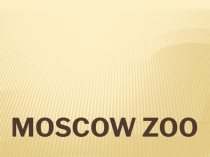 Moscow Zoo