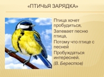 Птичья зарядка