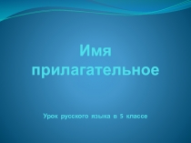 Имя прилагательное Урок русского языка в 5 классе