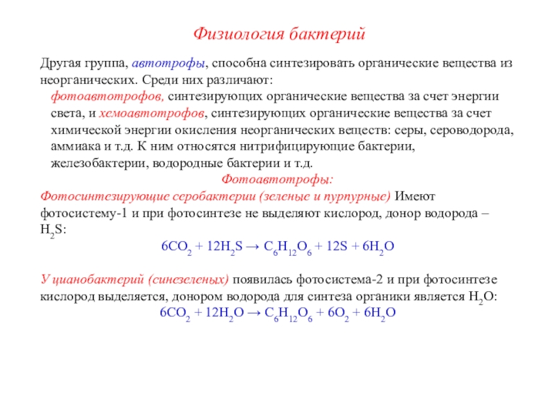 Синтез органических веществ из неорганических. Водородная бактерия это хемоавтотрофы. Синтезируют органические вещества из неорганических. Синтезировать из неорганических в органические это. Первый Синтез органики из неорганики.