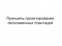 Принципы проектирования лесосеменных плантаций