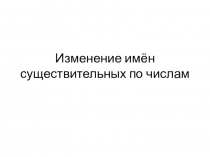 Изменение имён существительных по числам