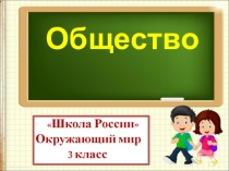 Общество