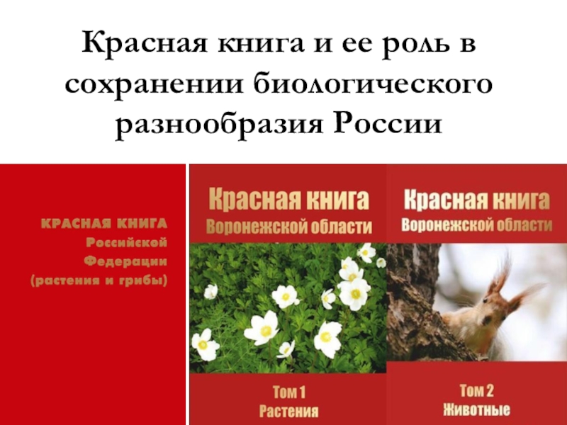 Красная книга и ее роль в сохранении биологического разнообразия России