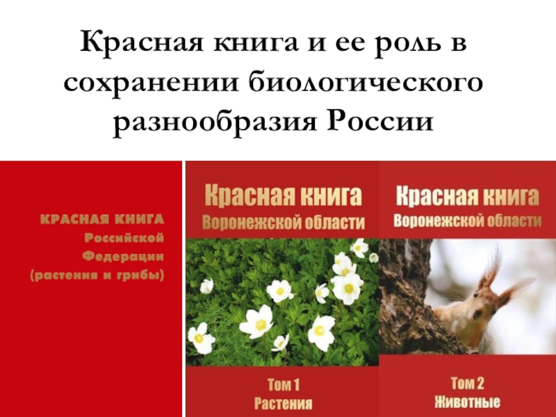 Роль красной. Роль красной книги в сохранении биоразнообразия. Роль красной книги. Красная книга Узбекистана. Красная книга Узбекистана презентация.