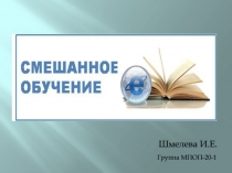 Шмелева И.Е.
Группа МПОП-20-1