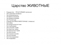 Царство ЖИВОТНЫЕ