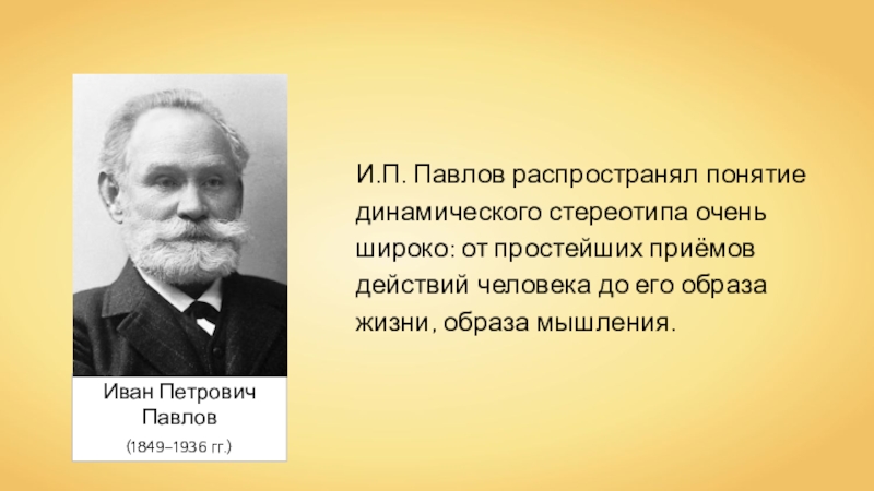 Динамический стереотип. Учение и. п. Павлова о динамическом стереотипе.. Динамический стереотип Павлов. И П Павлов динамический стереотип. , И.П. Павлов назвал динамическим стереотипом.