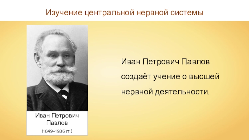 Предложен термин. Иван Петрович Павлов (1849 — 1936). Иван Петрович Павлов Высшая нервная деятельность. Павлов Иван Петрович рефлексы. ВНД рефлексы.