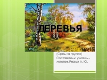 (Средняя группа)
Составитель: учитель – логопед Резвых Л. Ю