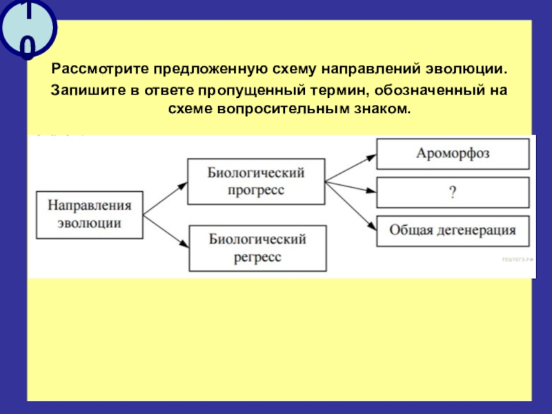 Предлагаю рассмотреть. Рассмотрите предложенную схему направлений эволюции. Рассмотрите предложенную схему классификации направлений эволюции. Рассмотрите предложенную схему запишите. Рассмотрите схему направлений эволюции запишите в ответ.