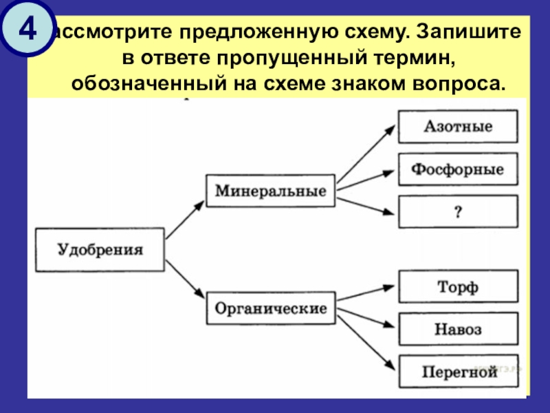 Запишите в ответе пропущенный термин обозначенный на схеме вопросительным знаком