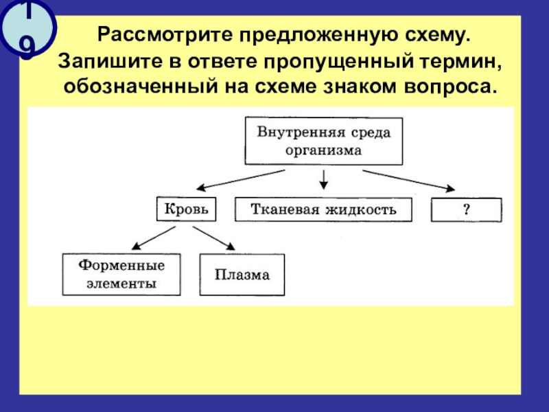 Рассмотрите схему запишите в ответе пропущенный термин