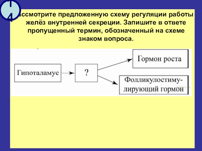 Впишите пропущенный термин. Рассмотрите предложенную схему регуляции дыхания. На схеме знаком вопроса обозначен этап потребности в информации. Предложите схему показывающий. Что обозначено на предложенной схеме.