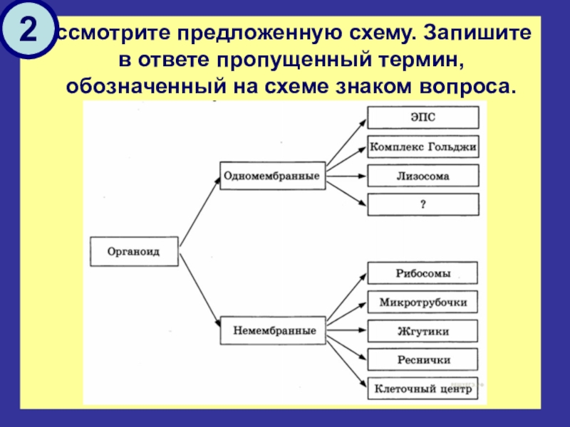 Что пропущено на схеме