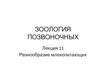 ЗООЛОГИЯ ПОЗВОНОЧНЫХ