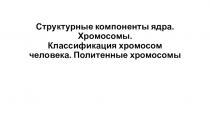 Структурные компоненты ядра. Хромосомы. Классификация хромосом человека
