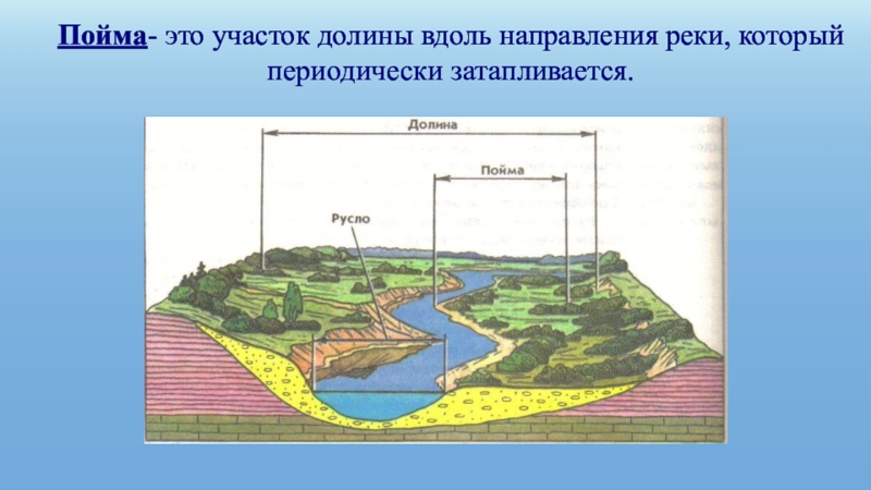 Проект по географии 6 класс реки артерии земли