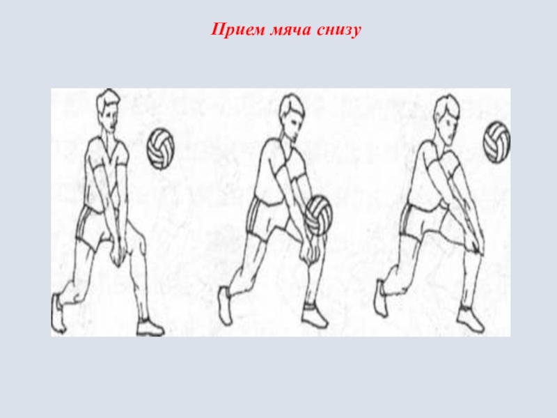 В каких случаях используется прием мяча снизу. Прием мяча снизу. Техника приема мяча снизу в волейболе. Прием мяча на грудь анатомия. Платформа какой формы образует предплечье для приёма мяча снизу.