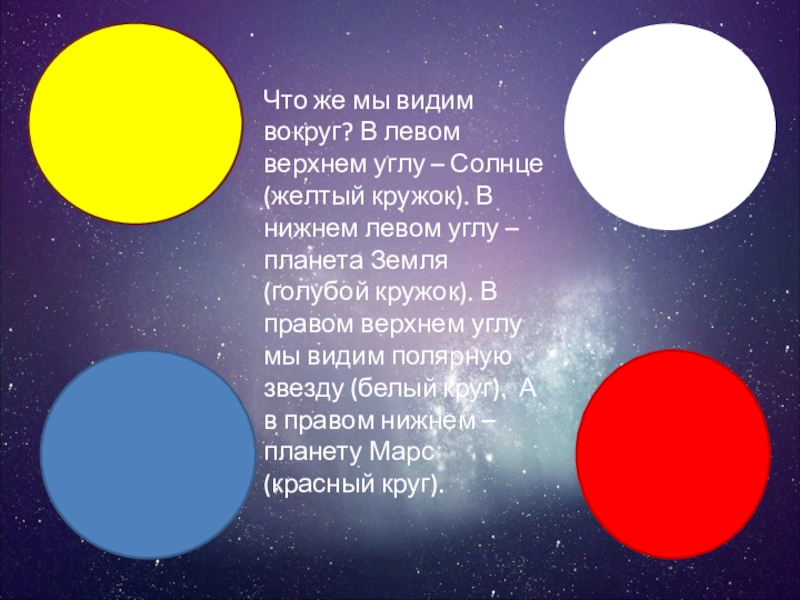 На основе форм ракушек сконструируй и нарисуй автомобиль музыкальный инструмент чашку костюм стол