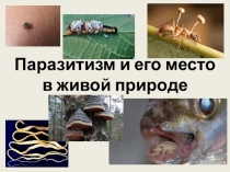Паразитизм и его место в живой природе