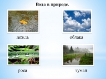 д ождь
о блака
р оса
туман
Вода в природе