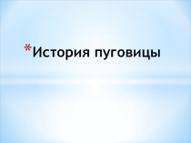 История пуговицы