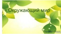 Окружающий мир
1класс