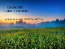 СЕМЕЙСТВО СЛОЖНОЦВЕТНЫЕ
ВЫПОЛНИЛА РАБОТУ: ПЫТАЛЕВА ЕКАТЕРИНА
