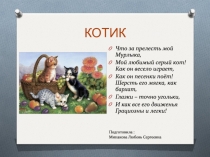 КОТИК