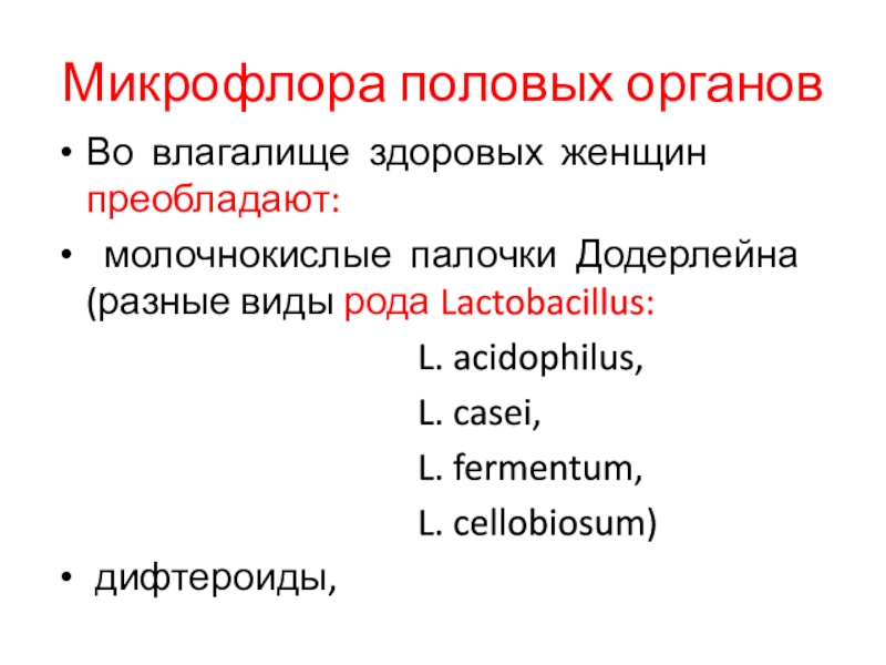 Микрофлора половых органовВо влагалище здоровых женщин преобладают: молочнокислые палочки Додерлейна (разные виды рода Lactobacillus: