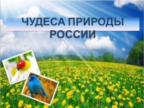 Чудеса природы
России