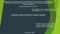 Федеральное государственное бюджетное образовательное учреждение высшего