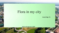 Flora in my city