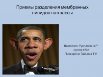 Приемы разделения мембранных липидов на классы