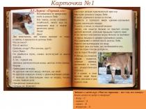 Карточка №1