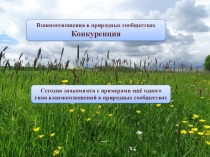 Взаимоотношения в природных сообществах
Конкуренция
Сегодня знакомимся с