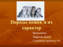 Породы кошек и их характер