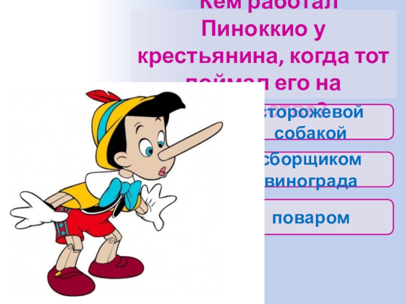 Пиноккио для презентации. Совесть Пиноккио. Пиноккио черты характера. Темперамент Пиноккио.