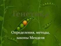 Генетика