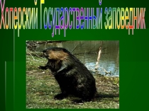 Хоперский Государственный заповедник