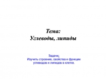 Тема: Углеводы, липиды