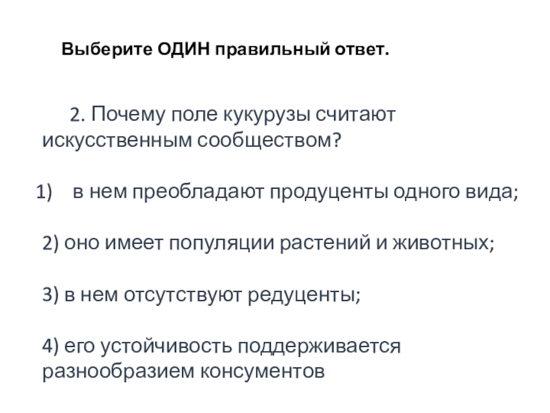 Почему поле кукурузы считают искусственным сообществом. Популяция растений. Поле кукурузы.