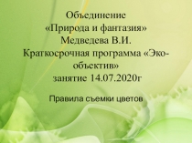 Объединение Природа и фантазия Медведева В.И. Краткосрочная программа