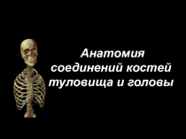 А натомия соединений костей туловища и головы