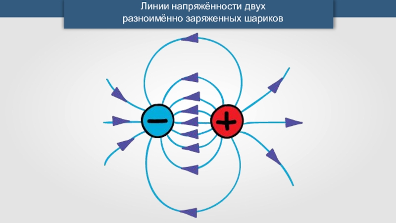 Разноименно заряженные шарики. Силовые линии заряженного шара. Силовые линии напряженности электрического поля шара. Линии напряженности заряженного шара. Линии напряжённости двух разноимённо заряженных шариков.