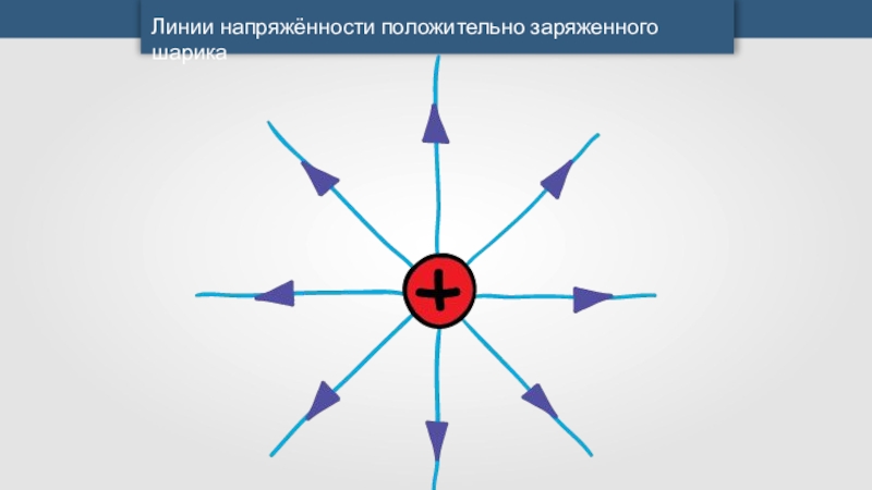 Рисунок положительно заряженного шара. Силовые линии заряженного шара. Линии напряженности положительно. Силовые линии положительно заряженного шара. Линии напряженности электрического поля шара.