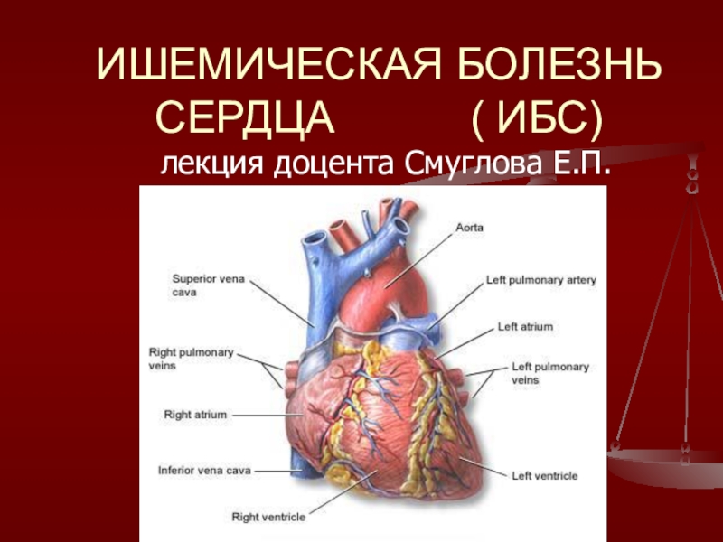 ИШЕМИЧЕСКАЯ БОЛЕЗНЬ СЕРДЦА ( ИБС)